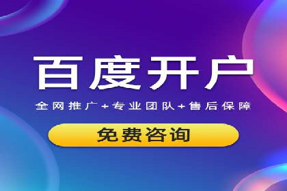 百度竞价推广公司经典案例解析：广告投放策略的智慧
